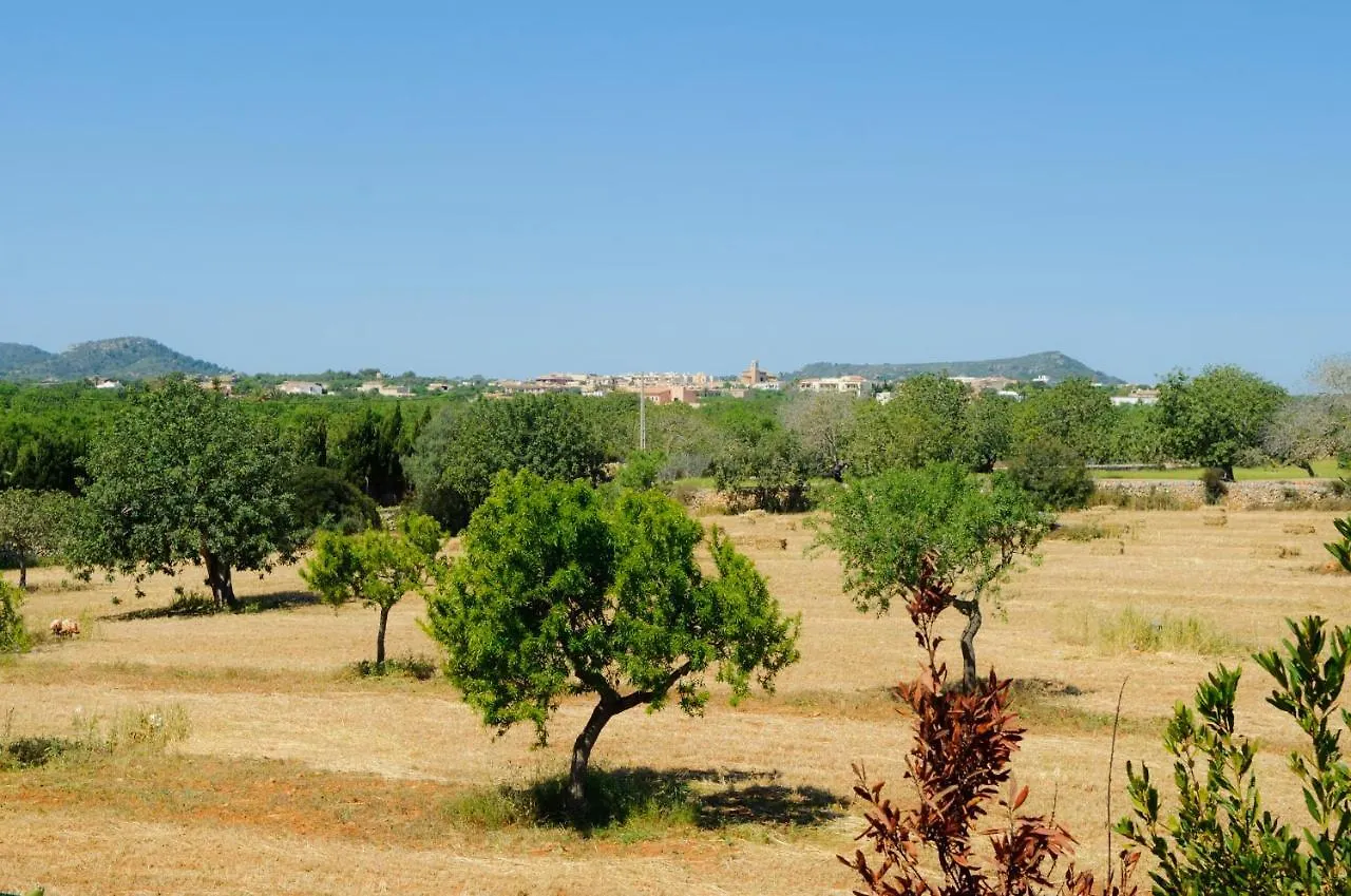 Finca Cullera Calonge  Feriehus Calonge (Mallorca)
