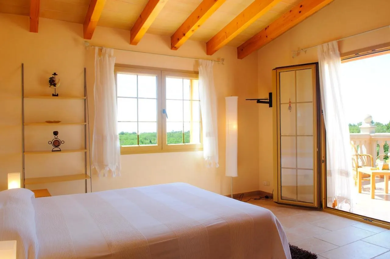 Finca Cullera Calonge  İspanya